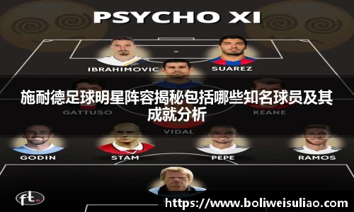施耐德足球明星阵容揭秘包括哪些知名球员及其成就分析